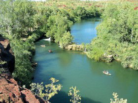 Wild Dog Dreaming, Boodjamulla (Lawn Hill) National Park - Attractions Perth 0