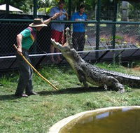 Snakes Downunder Reptile Park and Zoo - Attractions Perth