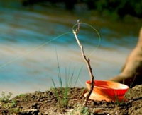 Charleville - Mangalore Warrego River Fishing Spot