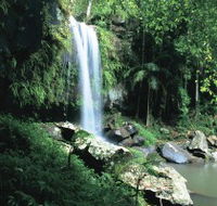 Curtis Falls Joalah Section - Attractions Perth