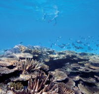 Australian Institute of Marine Science - Attractions Perth