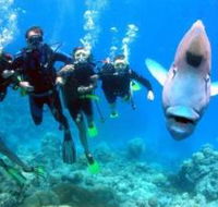 Gotham City Dive Site - Attractions Perth
