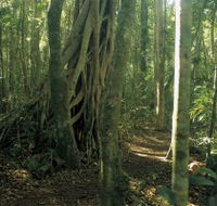 Mount Bithongabel - Attractions Perth