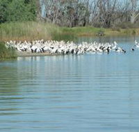 Lake Ross - Attractions Perth
