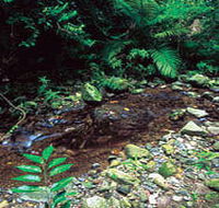 Wompoo Walk - Attractions Perth