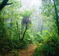 Lamington National Park Green Mountains Section - Attractions Perth