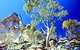 Mount Moffatt Section - Carnarvon National Park - thumb 0