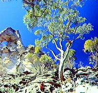 Mount Moffatt Section - Carnarvon National Park - Attractions Perth