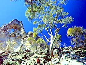 Mount Moffatt Section - Carnarvon National Park - Attractions Perth 0