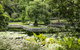 Brisbane Botanic Gardens Mount Coot-tha - thumb 1
