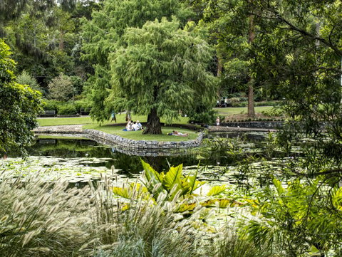 Brisbane Botanic Gardens Mount Coot-tha - Attractions Perth 1