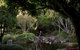 Brisbane Botanic Gardens Mount Coot-tha - thumb 2