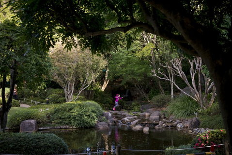 Brisbane Botanic Gardens Mount Coot-tha - Attractions Perth 2