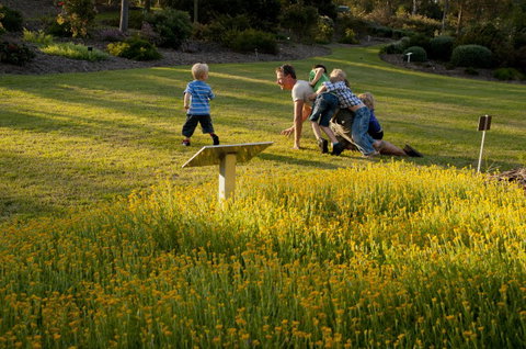 Brisbane Botanic Gardens Mount Coot-tha - Attractions Perth 5