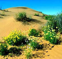 Simpson Desert National Park - Attractions Perth