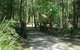 Cornubia Forest Park - thumb 0