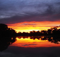 Thomson River - Attractions Perth