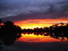 Thomson River - Attractions Perth 0