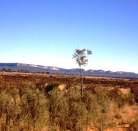 Tambos Wilderness Way - Attractions Perth