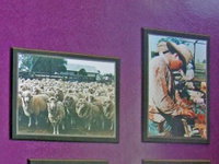 Charleville Photographic Display
