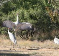 Bulloo River Walk - Attractions Perth