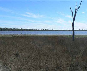 Lake Murphy Conservation Park - Attractions Perth 0