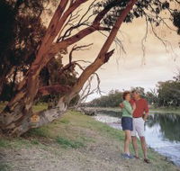 The Looking Glass - Attractions Perth