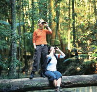 Birdwatching on the Fraser Coast - Attractions Perth