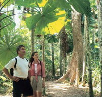 Licuala State Forest - Attractions Perth
