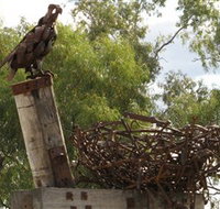 Blackall Sculpture Trail - Attractions Perth