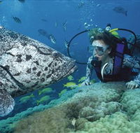 Pelorus Island - Attractions Perth