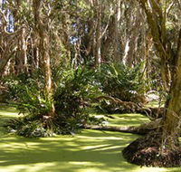 Arkarra Lagoons and Tea Gardens - Attractions Perth