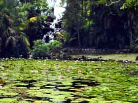 Queens Park Waterfall - Attractions Perth 0