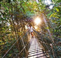 Tree Top Walkway - Attractions Perth