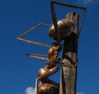 Augathella Meat Ant Park and Sculpture - Attractions Perth