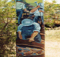Alpha Murals - Attractions Perth
