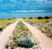 Birdsville Track - Attractions Perth