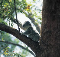 Daisy Hill Conservation Park - Attractions Perth