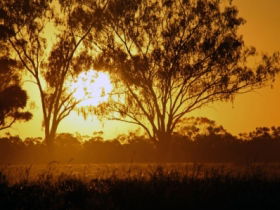 Lake Houdraman - Attractions Perth 0