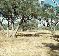 Forest Den National Park - Attractions Perth