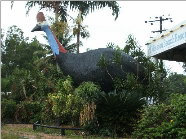 Attractions Perth