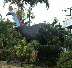 The Big Cassowary - Attractions Perth