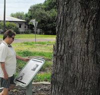 Augathella Kenniff Tree - Attractions Perth