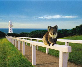 Cape Otway VIC Attractions Perth