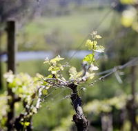 Elan Vineyard and Winery - Attractions Perth