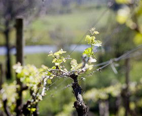 Elan Vineyard And Winery - Attractions Perth 0