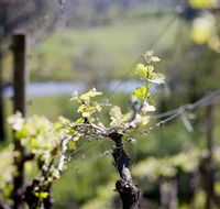 Downing Estate - Attractions Perth