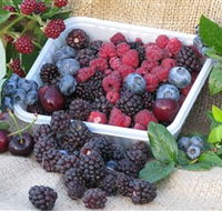 Bright Berry Farms - Attractions Perth