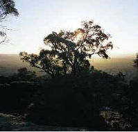 Yarra Flats - Attractions Perth