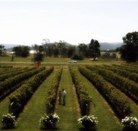 Rochford Wines - Attractions Perth